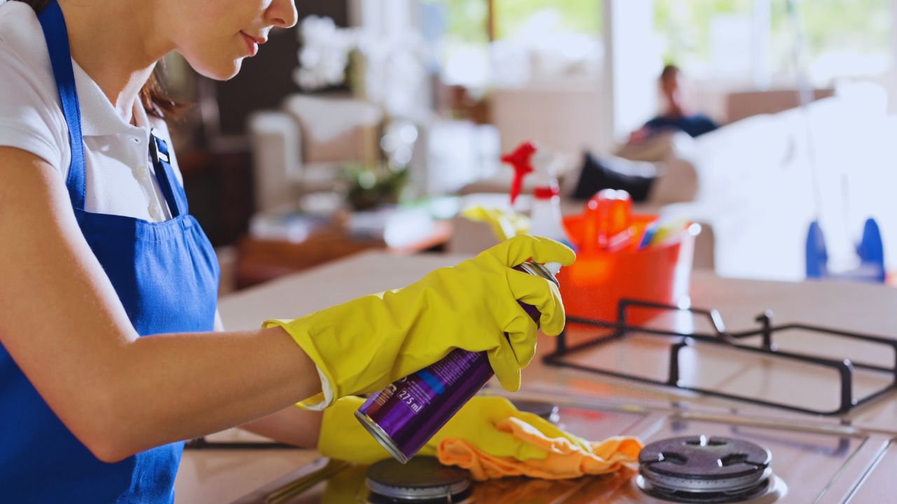 Deep Cleaning Oven